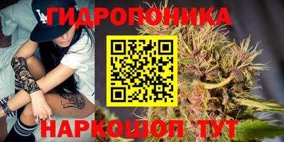 тгк Рыбинск