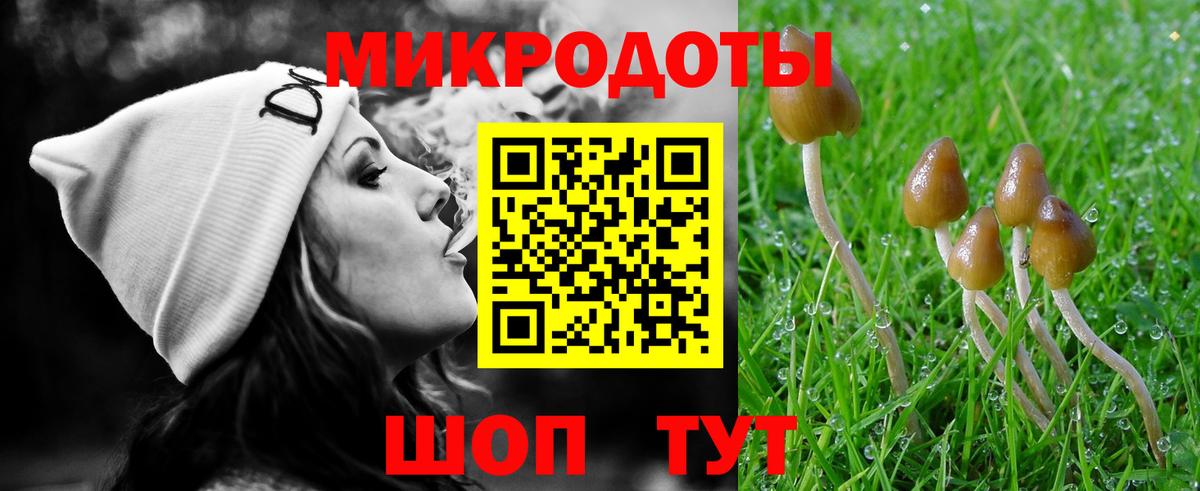 Псилоцибиновые грибы мицелий Севастополь